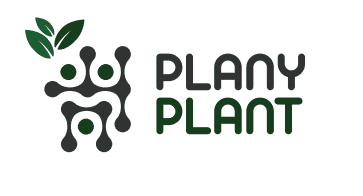 Plany Plant